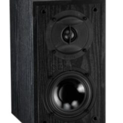 視紀音響 KTF 金大發 BR-1 書架型喇叭 卡拉OK 喇叭 公司貨