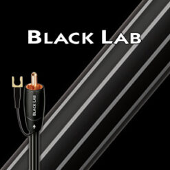視紀音響 美國 AudioQuest 黑色實驗室 Black Lab 超重低音 訊號線 LGC 消除失真 減少抖動 2M 公司貨