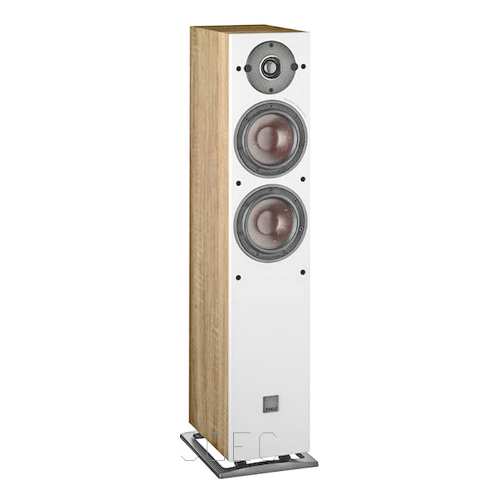 視紀音響 NAD C338 數位類比兩用 綜合擴大機 50W DALI 丹麥 OBERON 5 落地型喇叭 公司貨:圖片 6