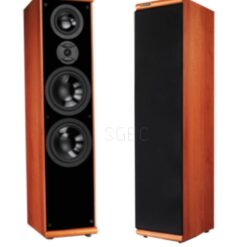 視紀音響 KTF 金大發 DM-899II 落地喇叭 卡拉OK喇叭 聲音飽滿 公司貨