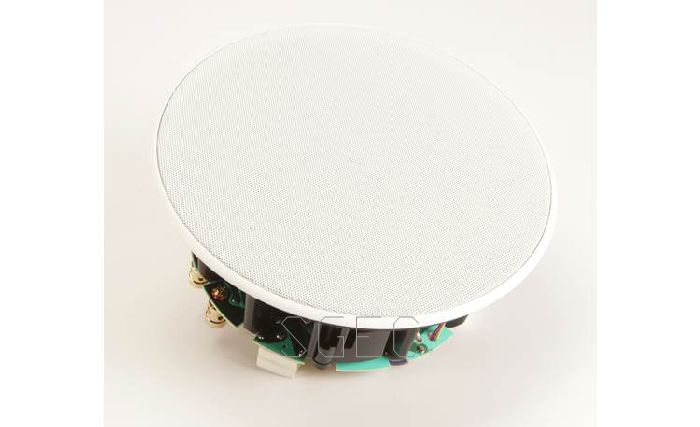 視紀音響 GoldenEar Invisa® SP 652 氣動式 崁入式 立體聲 喇叭 一支:圖片 2
