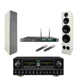 視紀音響 北歐風卡拉OK組 DM-829 喇叭 白色 一對+FNSD RAV-300 300W 擴大機+MIPRO ACT-353 無線麥克風 2支