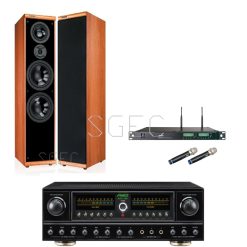 視紀音響 卡拉OK居家歡唱組 DM-899II 落地喇叭 聲音飽滿 RAV-300 300W 綜合擴大機 300W+MIPRO ACT-353 無線麥克風 2支