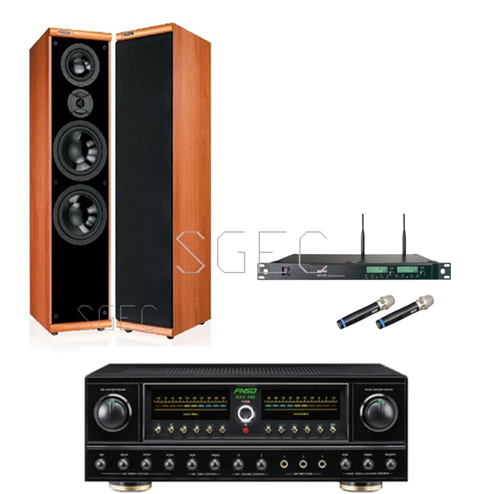 視紀音響 卡拉OK居家歡唱組  DM-899II 落地喇叭  聲音飽滿 RAV-300 300W 綜合擴大機 300W+MIPRO ACT-353 無線麥克風 2支