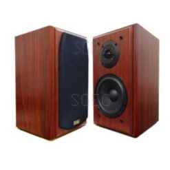 視紀音響 RLONG LX-300 卡拉OK喇叭 台灣品牌 台灣製