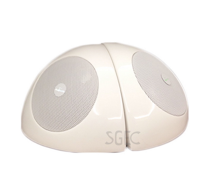 視紀音響 Audiolife 卡本特 NANO Q-1 造型 MINI 喇叭 一支 公司貨