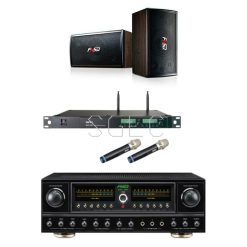 視紀音響 卡拉OK CP值 好唱套組 SD-305N 10吋喇叭FNSD RAV-300 300W擴大機 +MIPRO ACT-353 無線麥克風2支