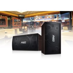 視紀音響 SD-305N 專業級 10吋 卡拉OK 懸吊式喇叭 一對 公司貨