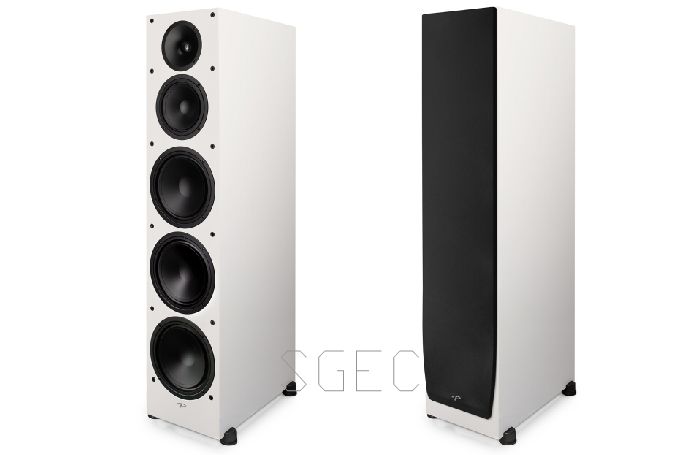 視紀音響 Paradigm 加拿大 Monitor SE 8000F 落地式喇叭 1對 黑白兩色 公司貨:圖片 3