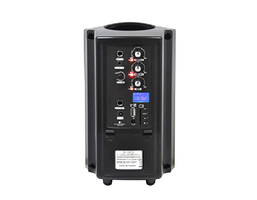 視紀音響 CHIAYO 嘉友 SMART300 小型擴音機 4吋喇叭 功率40W 可讀取USB SD卡 贈袋子 公司貨:圖片 3