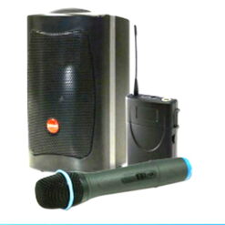 視紀音響 CHIAYO 嘉友 SMART300 小型擴音機 4吋喇叭 功率40W 可讀取USB SD卡 贈袋子 公司貨