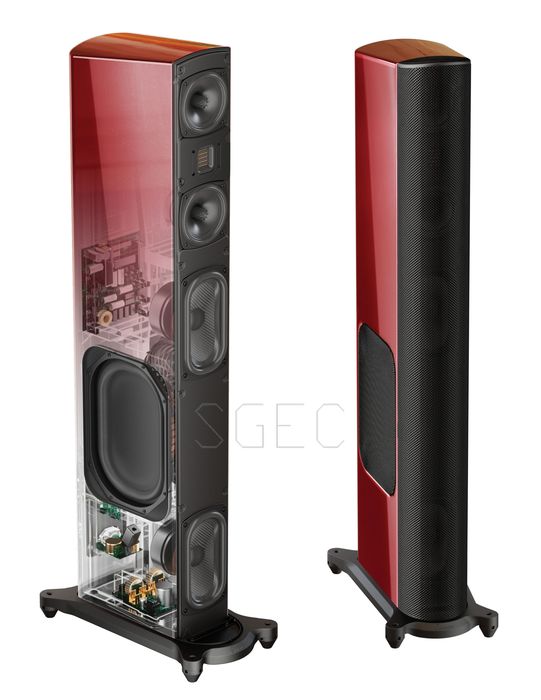 視紀音響 GoldenEar T66 落地喇叭 內建主動式低音 一對:圖片 2