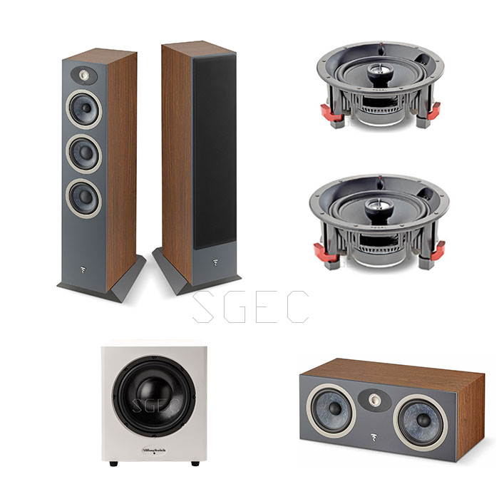 視紀音響 特惠 FOCAL 5.1聲道 Theva N2 +Theva CC + 100 ICW6 2支 + 重低音 Sw10 超低音喇叭:圖片 2