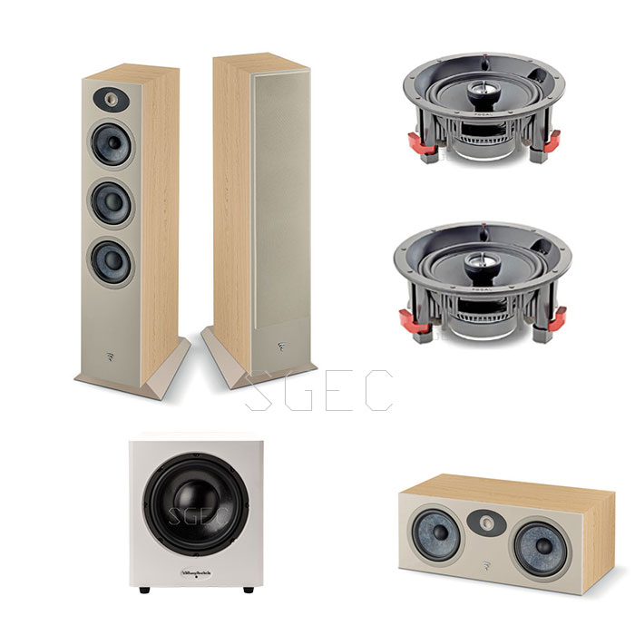 視紀音響 特惠 FOCAL 5.1聲道 Theva N2 +Theva CC + 100 ICW6 2支 + 重低音 Sw10 超低音喇叭:圖片 3