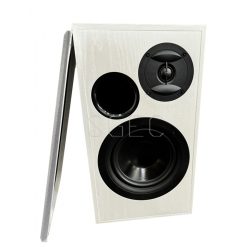 視紀音響 KTF 金大發 DM-819 卡拉OK 喇叭 白色 書架型喇叭 一對 公司貨